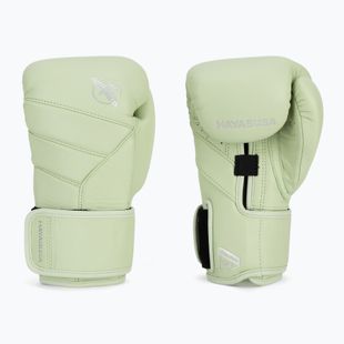 Рукавиці боксерські Hayabusa T3 Kanpeki summer moss green