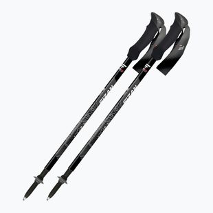 Палиці трекінгові  Fizan Compact MS black