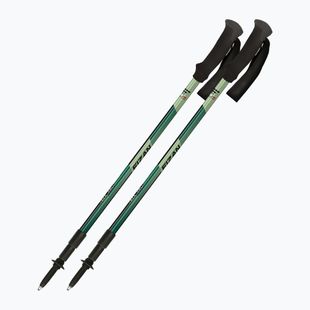 Палиці трекінгові  Fizan Trek Pro dark green