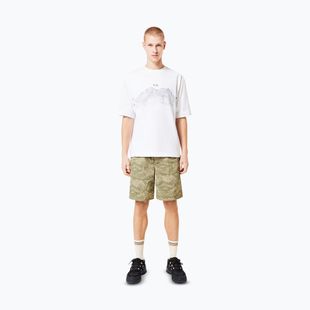 Футболка чоловіча Oakley Wired Mtn Scape Tee white