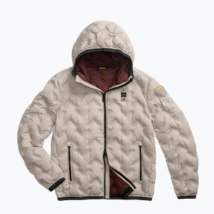 Куртка чоловіча Blauer USA Piery grey fog inside brown mahogany