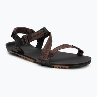Сандалі barefoot чоловічі Xero Shoes Z-Trail EV multi / brown