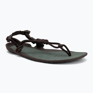 Сандалі barefoot чоловічі Xero Shoes Aqua Cloud java/brown/dark/forest
