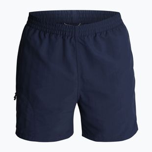 Штани трекінгові чоловічі чоловічі Royal Robbins All-In navy