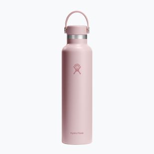 Пляшка термічна Hydro Flask Standard Flex Cap 710 мл trillium