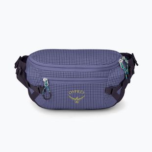 Сумка Osprey Transporter Waist Pack 3 л euphoria