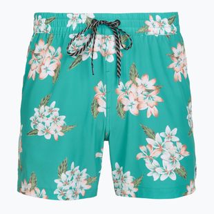 Шорти для плавання чоловічі Hurley Malaga Volley Swim Short Teal Tint