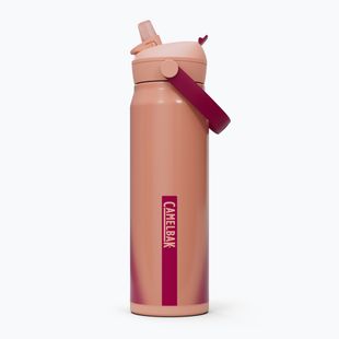 Пляшка туристична Camelbak Thrive Flip Straw Insulated SST 740 ml blush down