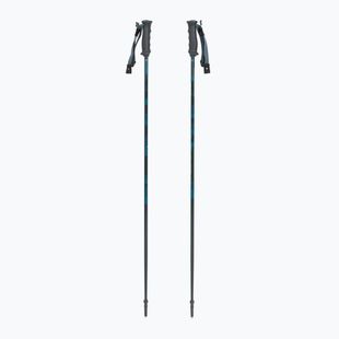 Палиці гірськолижні Fischer RC4 Noize grey / blue