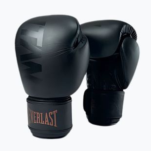 Рукавиці боксерські Everlast Muay Thai – TITAN black