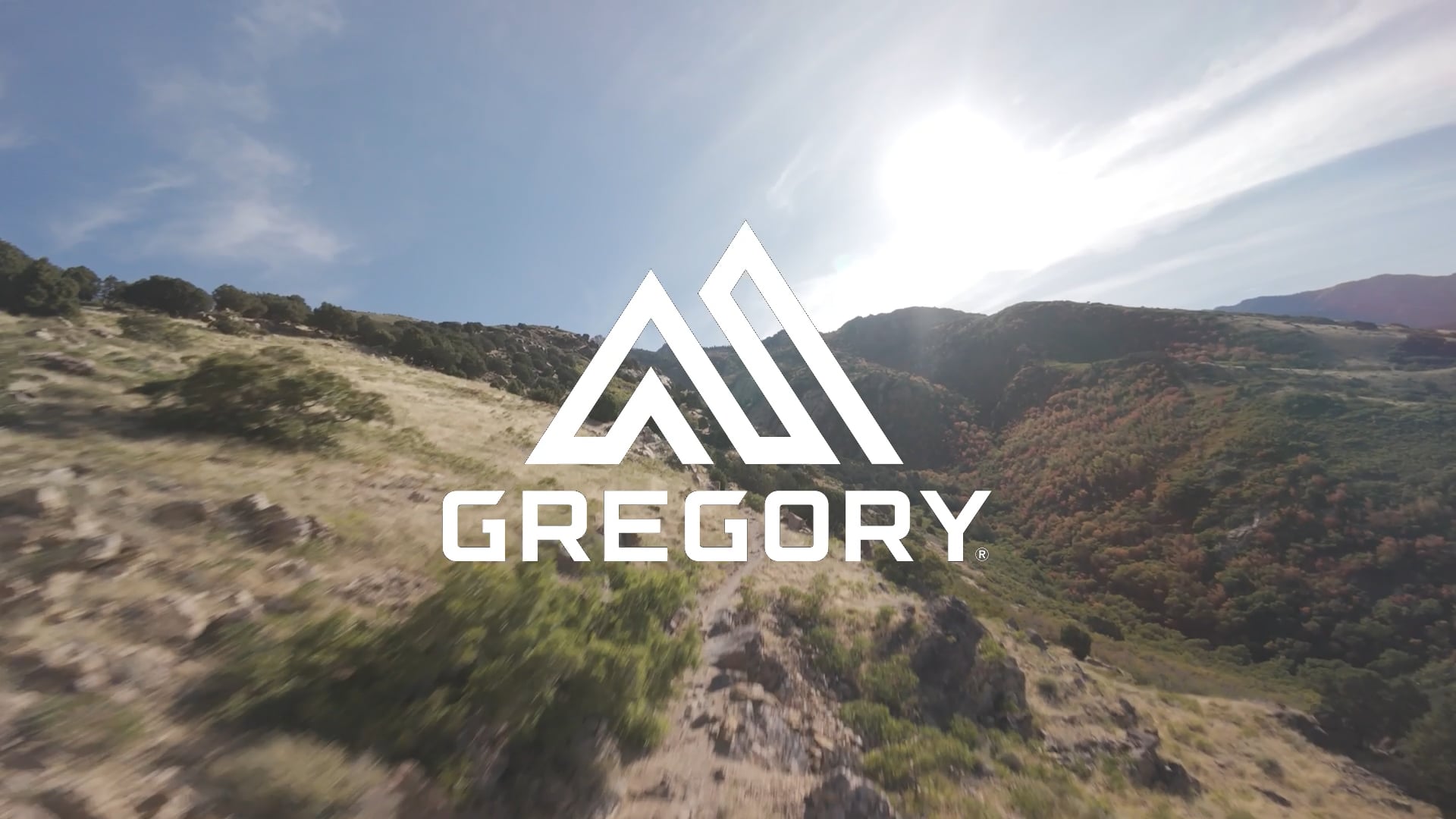 Рюкзак туристичний Gregory Kiro 24 л RC legion blue