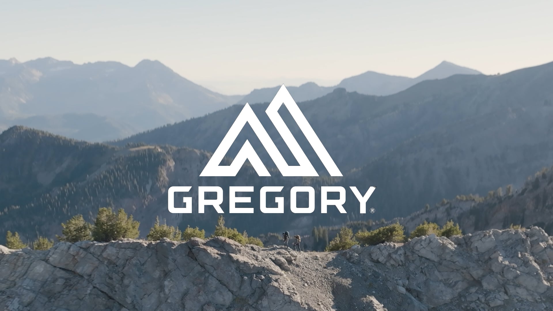 Рюкзак трекінговий чоловічий Gregory Paragon 48 l чорний 126844