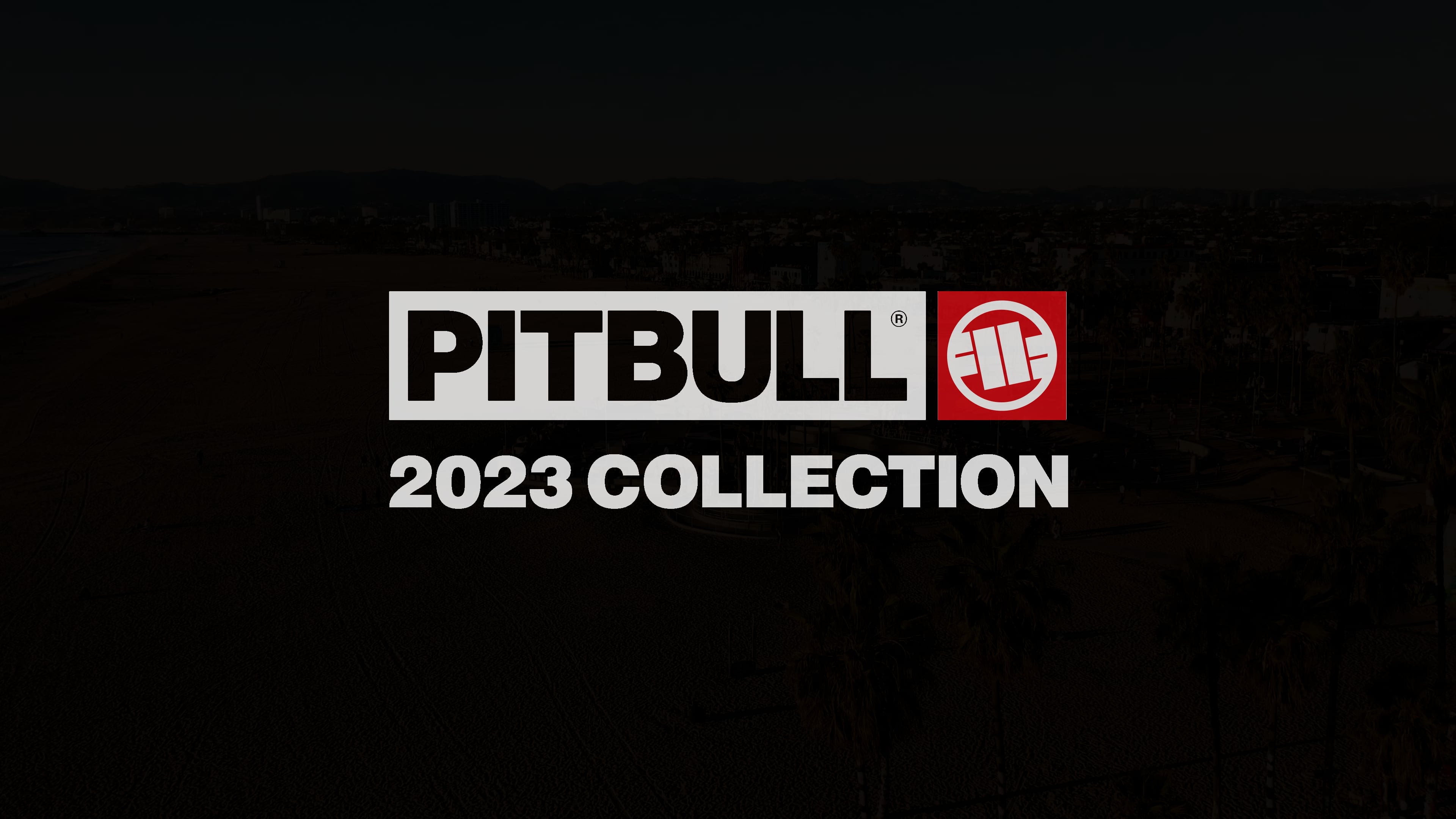 Футболка чоловіча Pitbull West Coast T-S Hilltop 170 mint