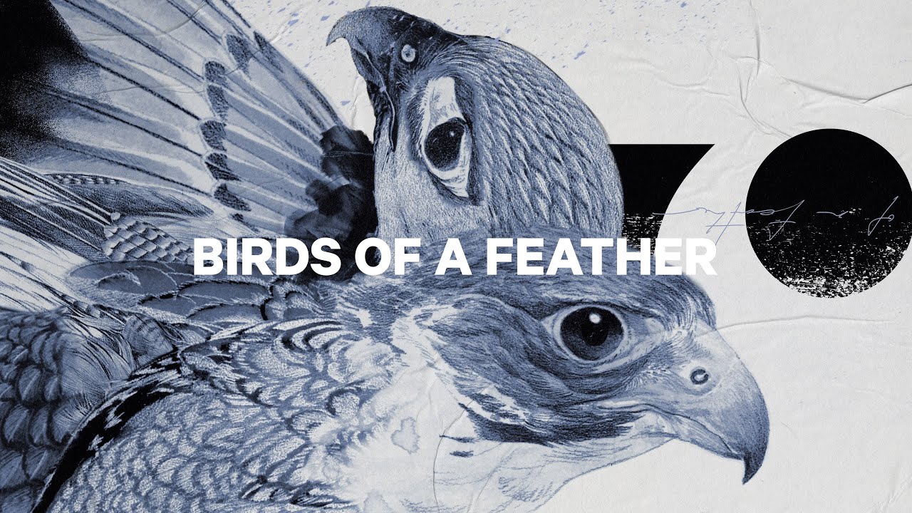 Сноуборд жіночий CAPiTA Birds Of A Feather 1221108