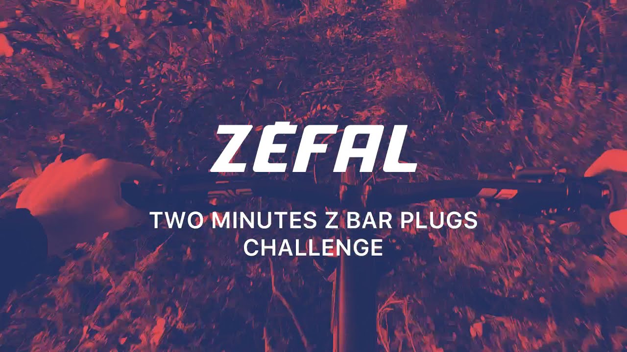 Комплект для безкамерних шин Zefal Z Bar Plugs Tubeless Repair Kit