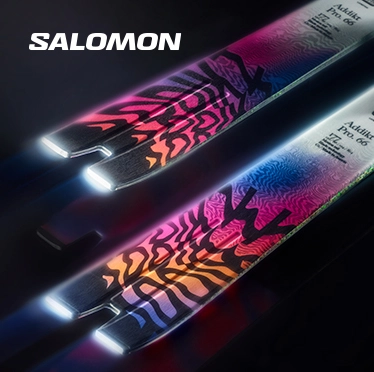 Salomon Salomon